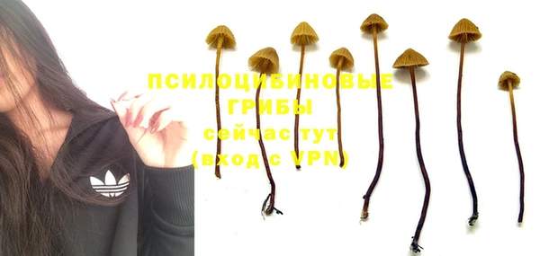 метамфетамин Арсеньев