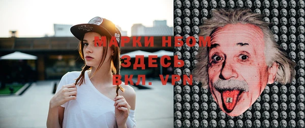 стафф Баксан