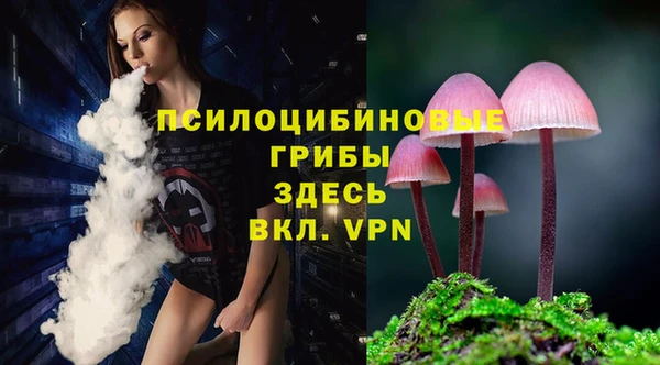 стафф Баксан