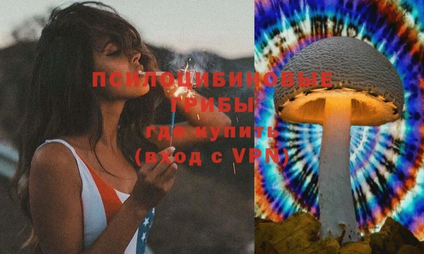 стафф Баксан